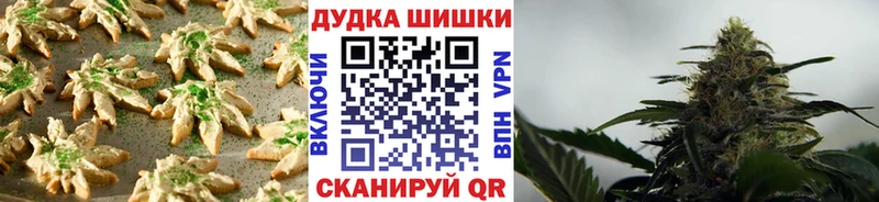 Cannafood конопля  Бабушкин 