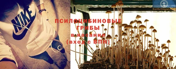 героин Алзамай